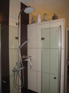 a shower in a bathroom with a glass door at Apartment Scholz by Interhome in Born