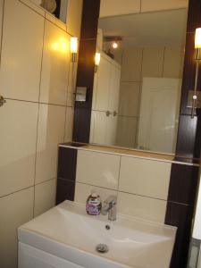 Bilik mandi di Apartment Scholz by Interhome +3 gambar