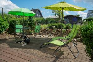 a dog laying on a patio with chairs and an umbrella at Ferienwohnung Zimmert in Zimmert