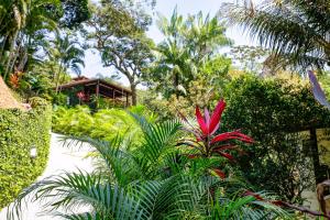 Градина пред Atlantica Jungle Lodge