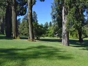 ポルト・ヴァルトラヴァーリアにあるApartment Hermitage-2 by Interhomeの緑の芝生の公園内の木々