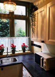 una cucina con lavandino e una finestra con fiori rossi di De Kapiteinshut aan de rivier met XL ligbad en sauna a Lekkerkerk