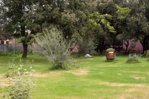 Κήπος έξω από το Loft mansardato con giardino e piscina in villa privata Loft with garden and swimming pool in a private villa