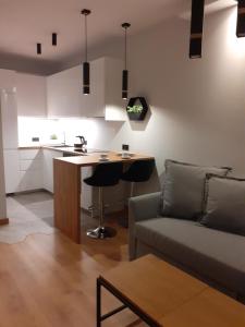 Kuchyňa alebo kuchynka v ubytovaní APARTAMENT DĄBSKA 24 TAURON ARENA