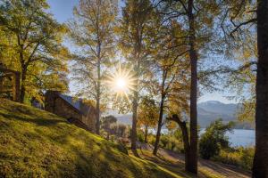 a house on a hill with the sun shining through trees at Paihuen - Resort De Montaña in San Martín de los Andes