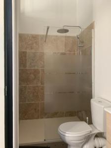 a bathroom with a toilet and a shower at La Chapelle in Mamers
