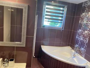 a bathroom with a tub and a window and a mirror at Gabrielle2 apartman in Debrecen