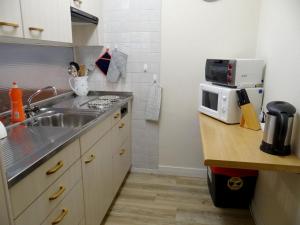 eine Küche mit einer Spüle und einer Mikrowelle auf der Theke in der Unterkunft Apartment Parkweg 9-402 by Interhome in Engelberg