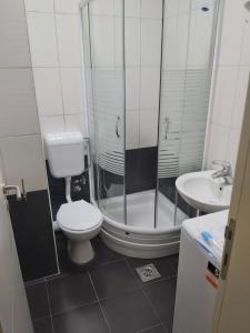 Vannituba majutusasutuses Apartmani Sigma