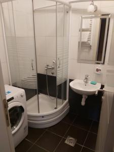 Vannituba majutusasutuses Apartmani Sigma