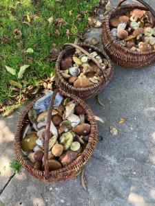 Gallery image of Zbereze 18 "Na Lipę" in Wola Uhruska