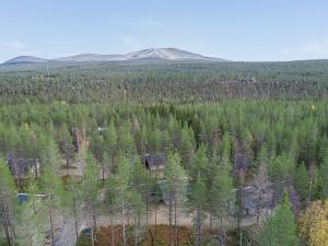 an aerial view of a forest with trees and a mountain at Holiday Home Ylläksen tunturihonkamaja a 1 by Interhome in Äkäslompolo