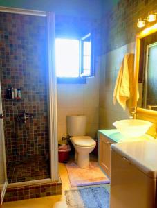a bathroom with a toilet and a sink and a shower at MEDITERRANEAN GARDEN VILLA in Vathí