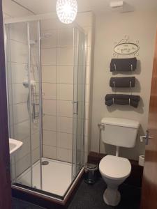 a bathroom with a shower and a toilet and towels at High Greenside in Kirkby Stephen