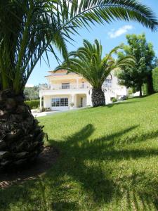 a house with palm trees in front of it at Casa Bianca in Caldas da Rainha