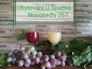 Nápoje v ubytovaní Ubytování U Špačků Pálava