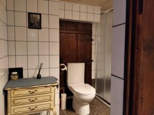 Koupelna v ubytování Chata za Górami + 33 fotografií