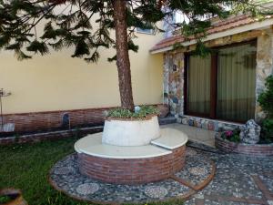 A garden outside Una Araucaria sul mare