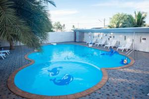 克魯村的住宿－班克魯特納尼查度假酒店，游泳池,水中有两个海豚