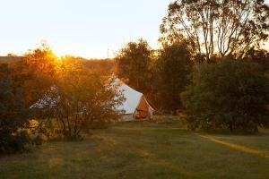 a tent in the middle of a field with trees at Goldfield Glamping in Clydesdale