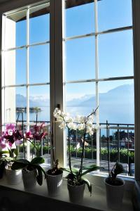 沃韦Corseaux Beach rooms-Riviera Beach apartments的相册照片
