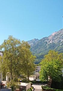 a view of a city with mountains in the background at Appartement Sternblick in Bad Reichenhall