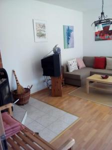 ein Wohnzimmer mit einem Sofa und einem TV in der Unterkunft Ferienwohnung Fabricio in Dolní Lánov