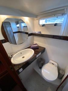 ein Badezimmer mit Waschbecken, Toilette und Spiegel in der Unterkunft TraumZeitBoot Amavida Yacht auf dem Scharmützelsee Bad Saarow in Bad Saarow