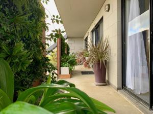 a courtyard with potted plants in a building at Apollo Bay Waterfront Motor Inn in Apollo Bay