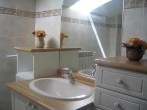 ein Bad mit einem Waschbecken und einem Spiegel in der Unterkunft Holiday in a gite in Lozre in a pretty corner of Margeride in Mialanes