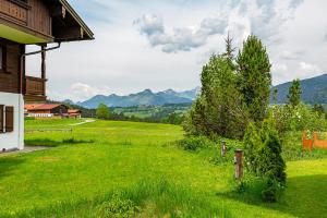 een veld van groen gras met bergen op de achtergrond bij Ferienwohnung Dominik in Reit im Winkl