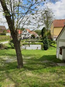 Vrt ispred objekta Atrium House - Netolice