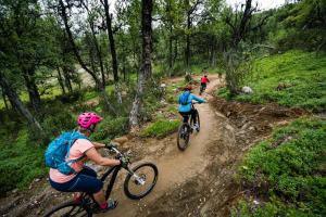 a group of people riding bikes on a dirt trail at Ski Lodge Tänndalen in Tänndalen