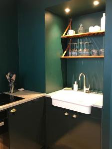 - une cuisine avec un évier et un mur vert dans l'établissement Le Cocand, à Autun
