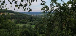 a view of a valley with trees and a town at Ferienhaus Wagnerhof in Ahorntal