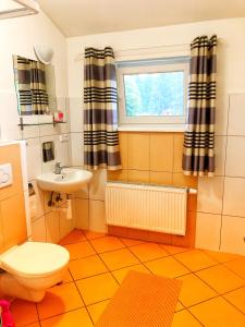 a bathroom with a toilet and a sink and a window at Apartmány Slunečnice in Konstantinovy Lázně