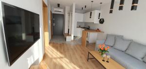 Kuchyňa alebo kuchynka v ubytovaní APARTAMENT DĄBSKA 24 TAURON ARENA