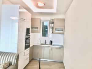 Kuchyň nebo kuchyňský kout v ubytování Lux Apartments Krasici