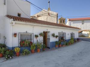 a white building with lots of potted plants on it at Cueva El Murallon in Benamaurel