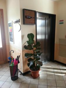 Kép La Locanda di San Biagio szállásáról Bolzanetóban a galériában
