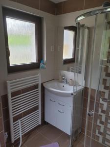a bathroom with a sink and a shower at Chata Seeberg in Poustka +28 photos