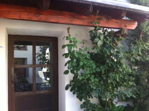 a building with a green plant next to a door at La Maison Carolane in Latour-de-Carol