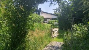 Ein Garten an der Unterkunft Ferien am Biotop