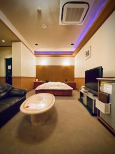 TV a/nebo společenská místnost v ubytování Hotel Sagano (Adult only)