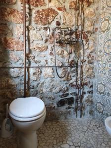 a bathroom with a toilet and a stone wall at La casa di Duilia in Fornelli