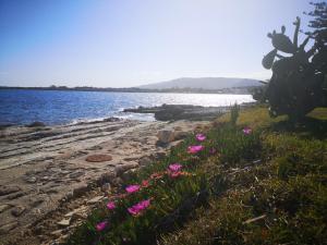Paesaggio naturale nelle vicinanze del bed & breakfast