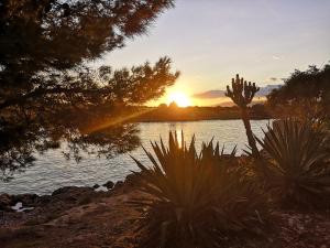 Paesaggio naturale nelle vicinanze del bed & breakfast