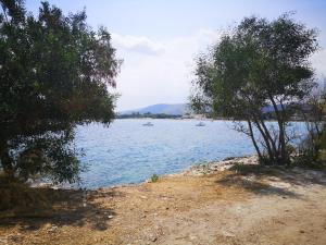 Paesaggio naturale nelle vicinanze del bed & breakfast