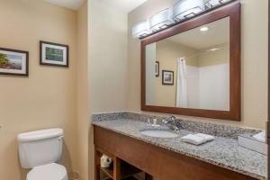 a bathroom with a toilet, sink and mirror at Comfort Suites Grand Rapids North in Comstock Park