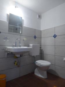 ein Bad mit einem WC und einem Waschbecken in der Unterkunft Cà Melia Bedigliora in Bedigliora